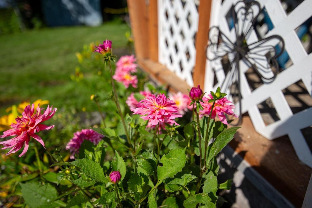 The Mint Cottage With Garden Anchorage Exterior photo